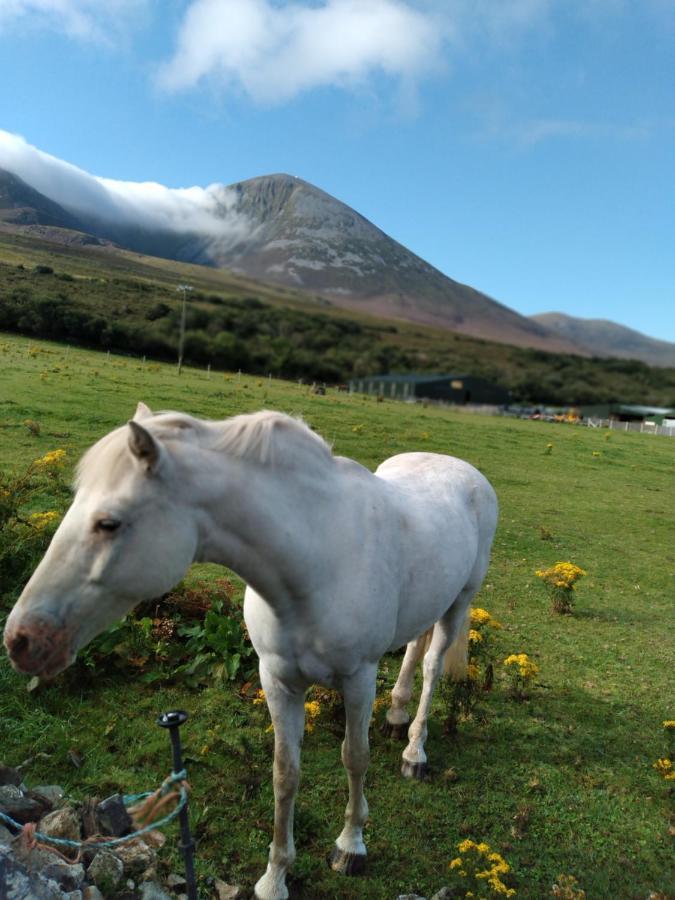 Elmgrove Apartment , Croagh Patrick Westport Exteriér fotografie
